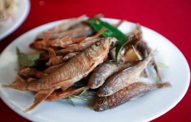 Đặc sản cá suối ở Mộc Châu ăn hoài không chán