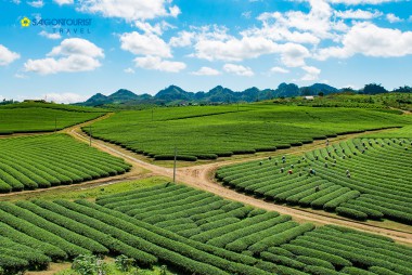 Du lịch Tết Nguyên Đán 2020 tại Mộc Châu - Điện Biên - Lai Châu - Fansipan - Lào Cai  (Mùng 2,4 Tết)